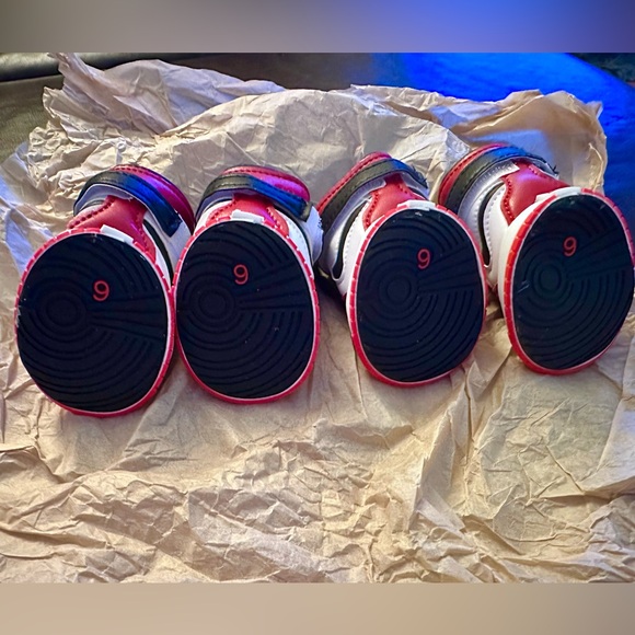 Dog Boots - Picture 3 of 10